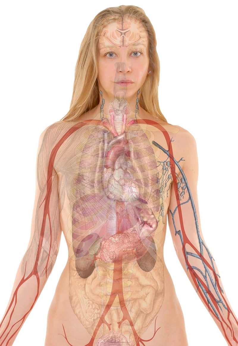 Lung capacity improvement