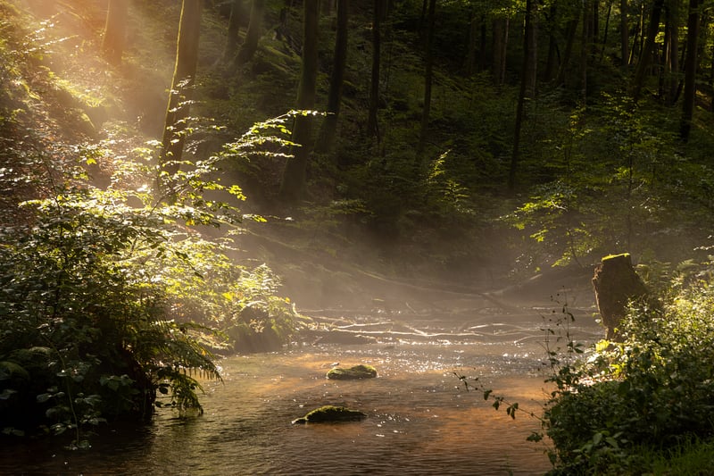 Mindful flow sequences