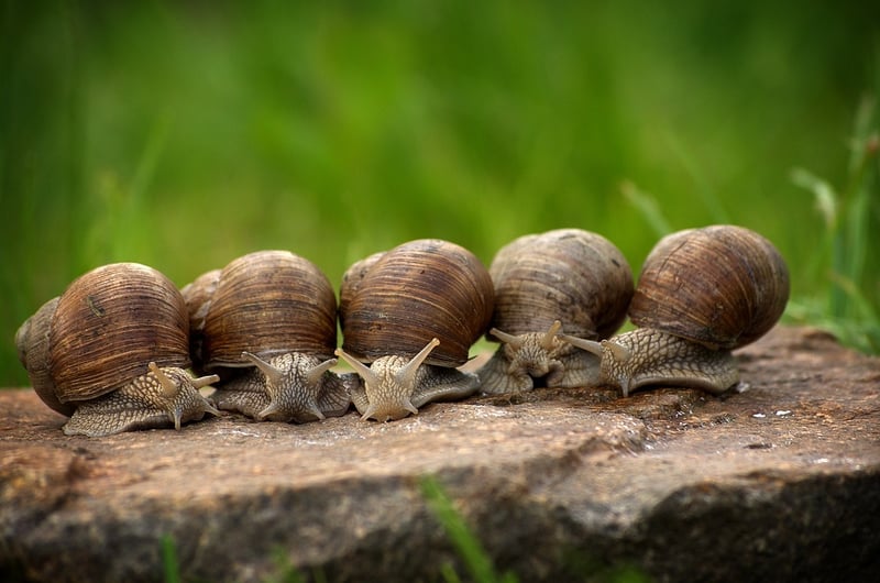Slow controlled movements